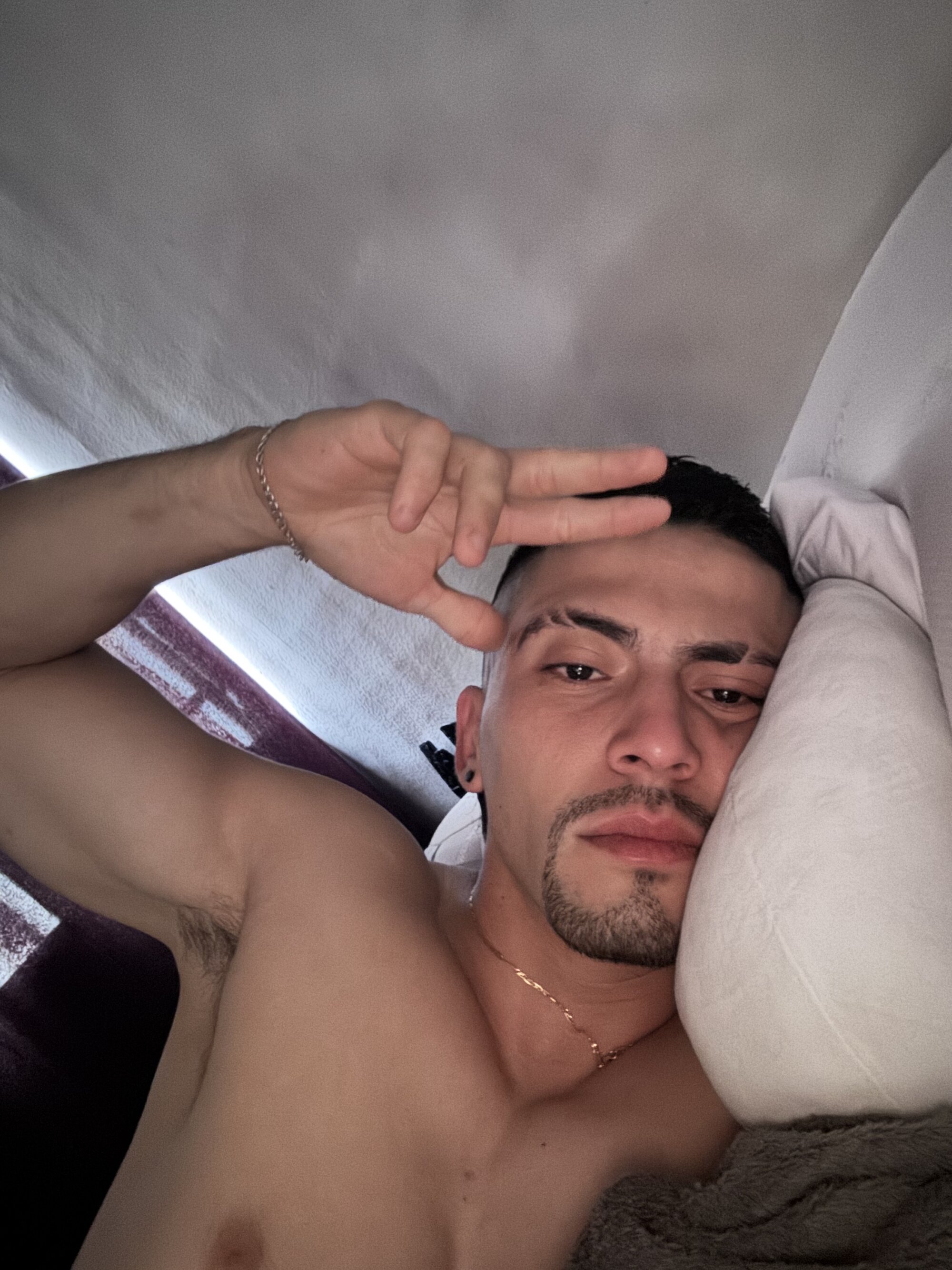 DimitrovSteel