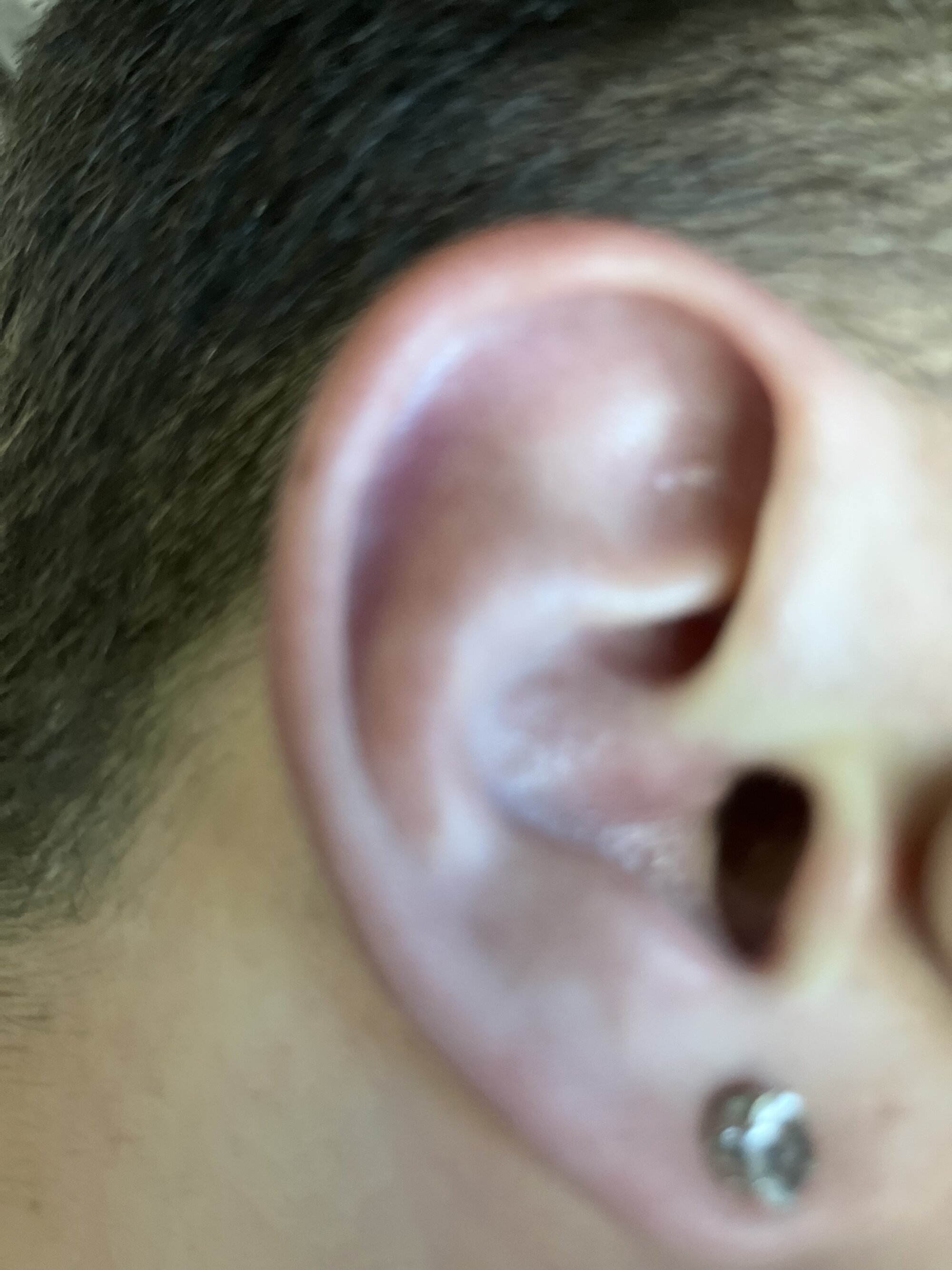joeycbigcock