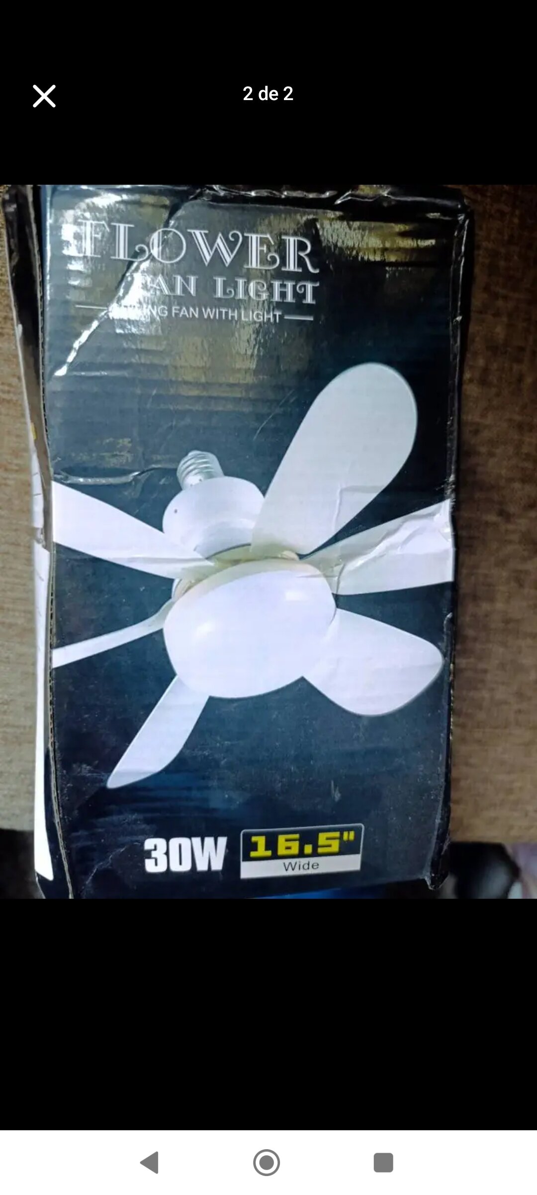janflor5
