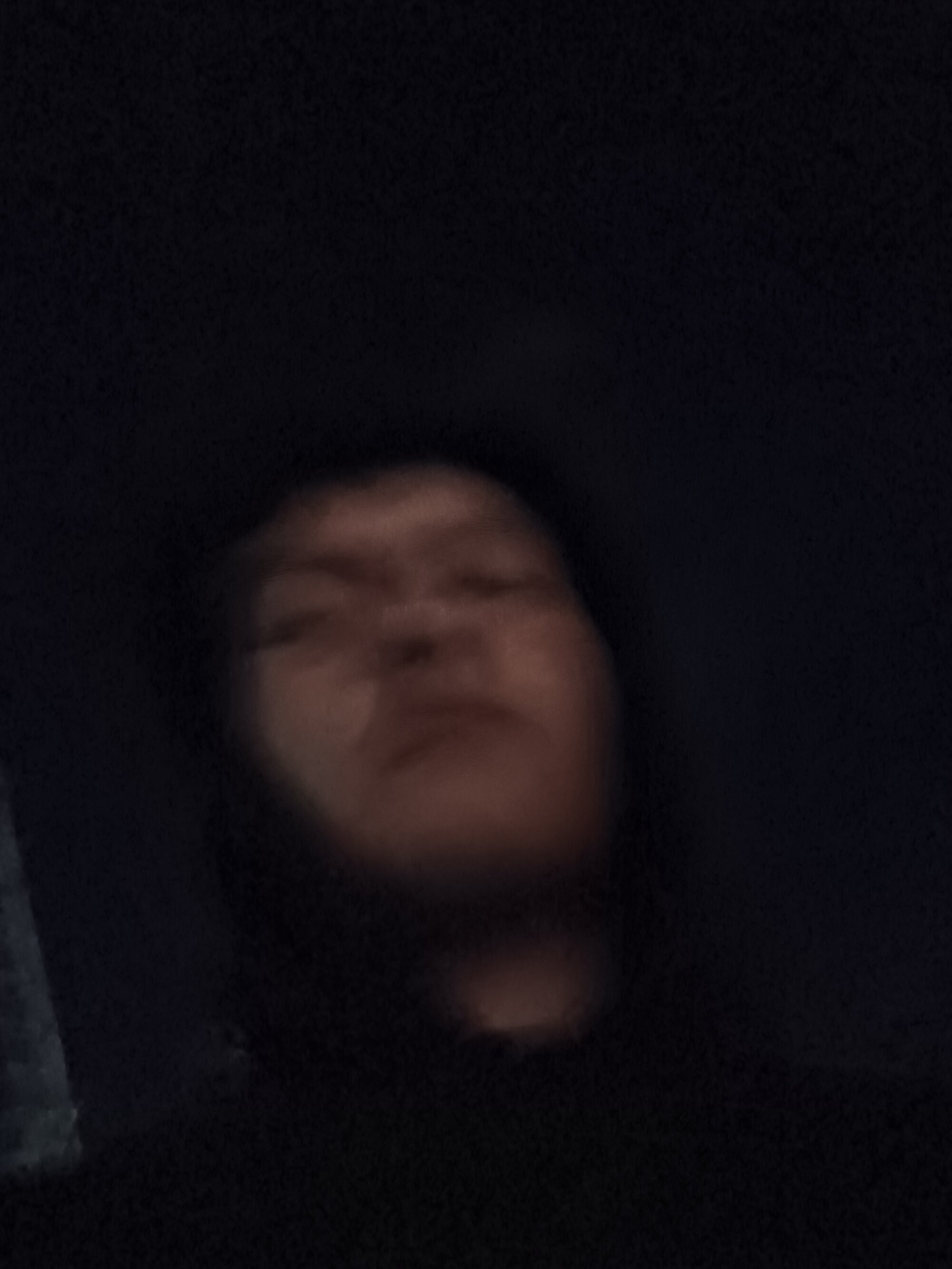 Mulet_erik2