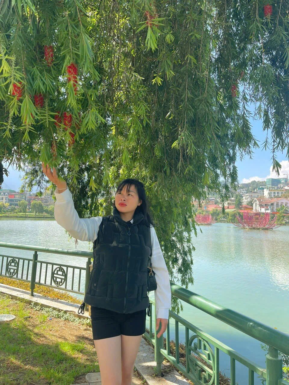 Ana-Li-