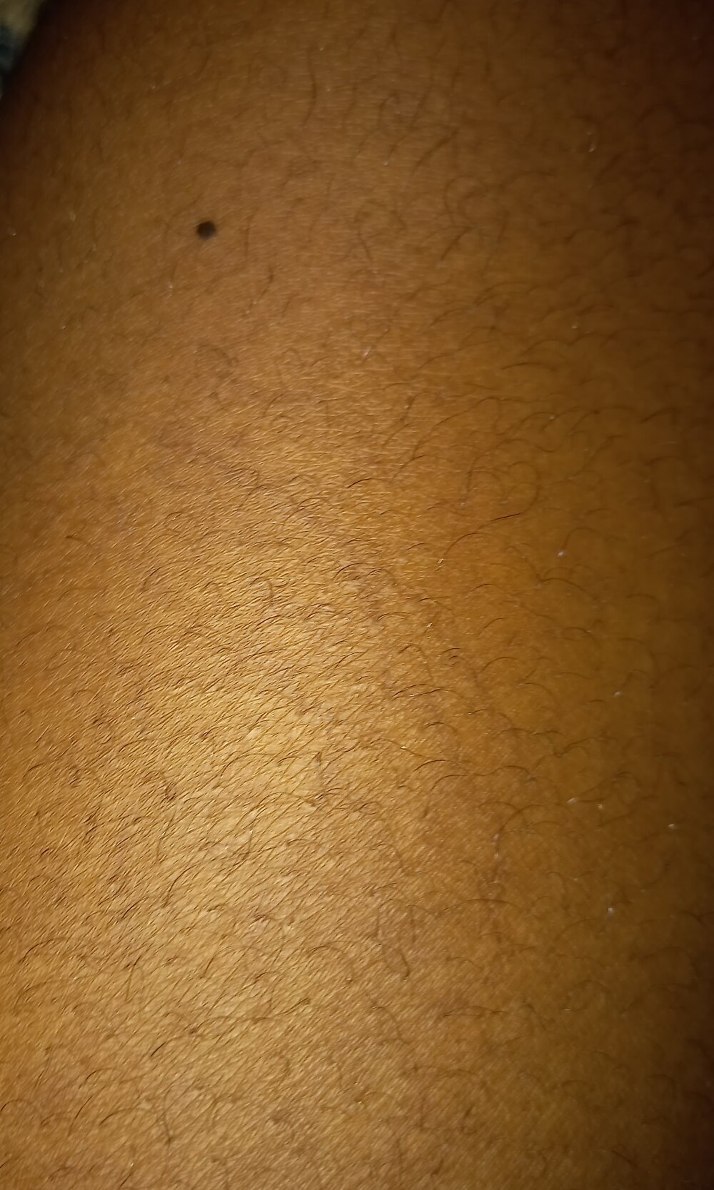 brownsexycock8
