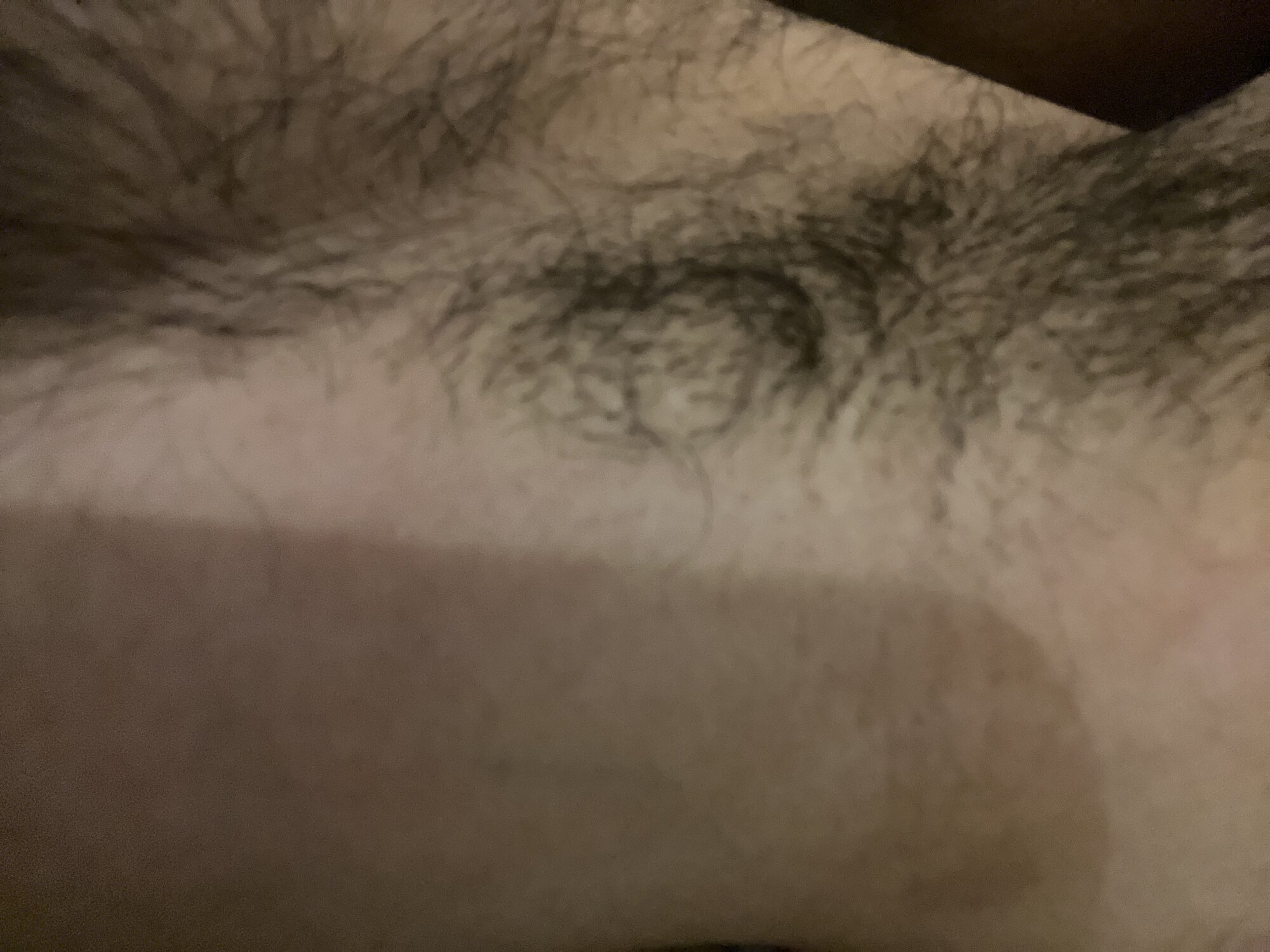 brownvirgindick