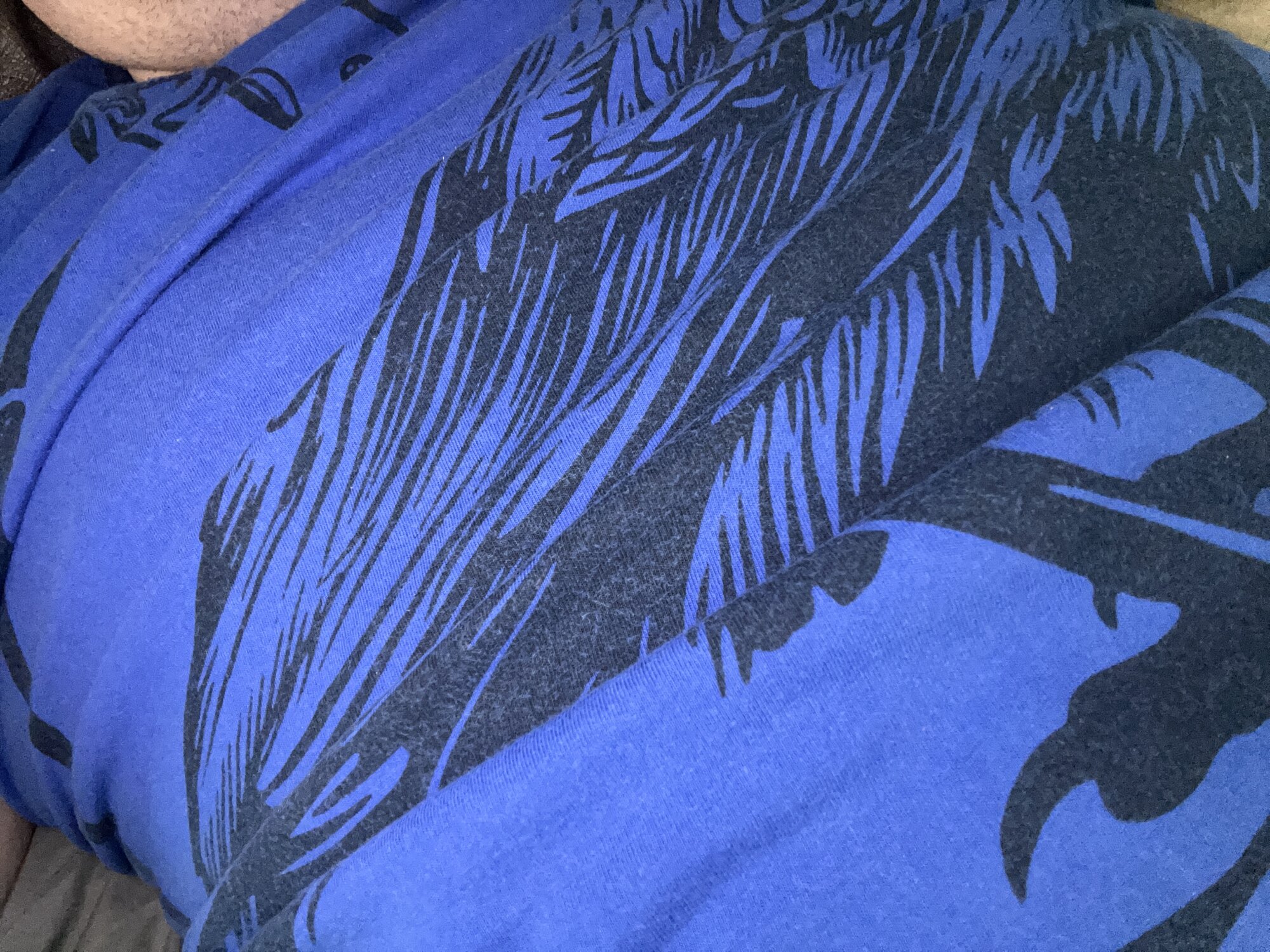 chubbygamer86 live webcam