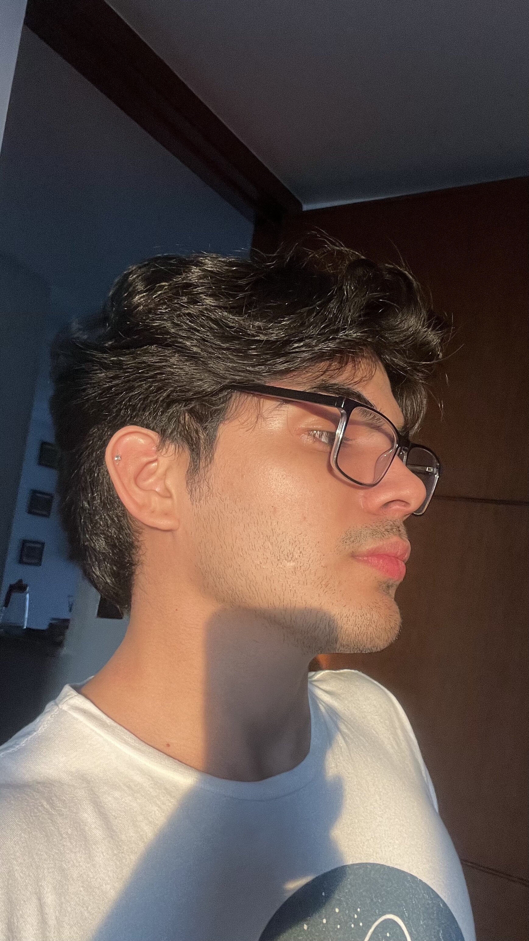 Banderajr