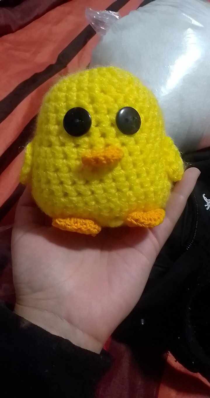 caskio