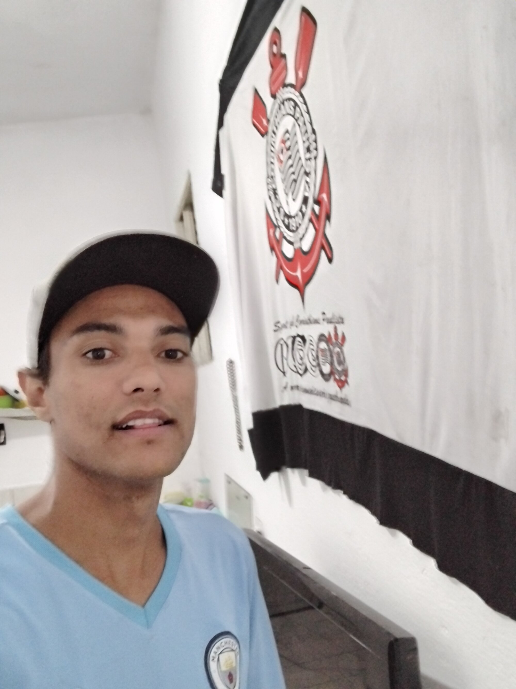 233613pingo