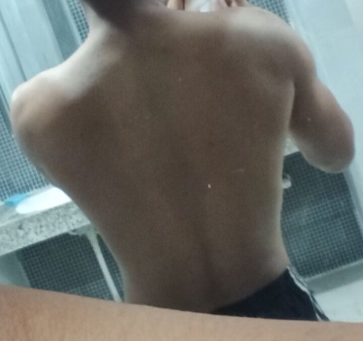 flex453