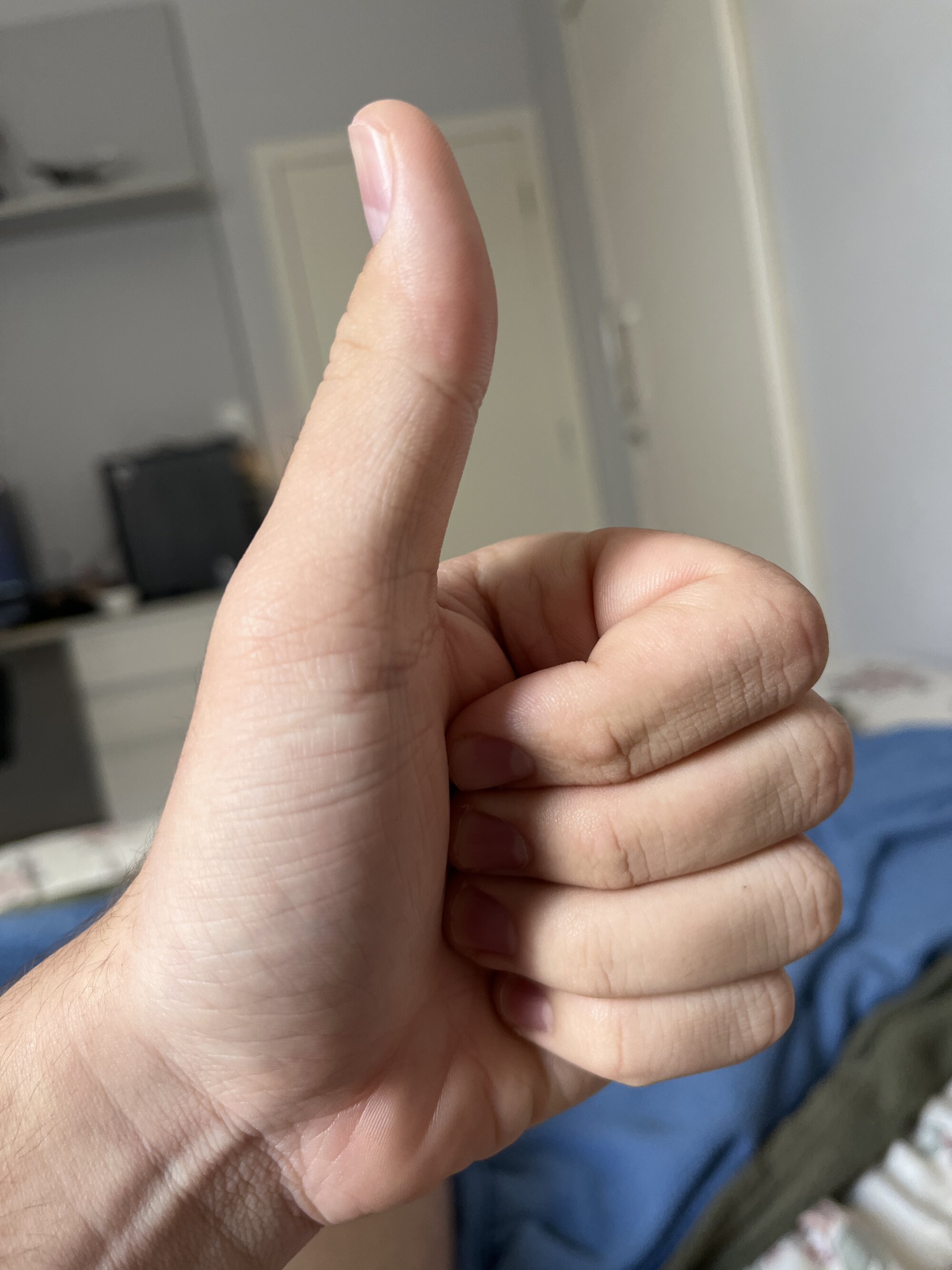 Novinho16cmz live webcam