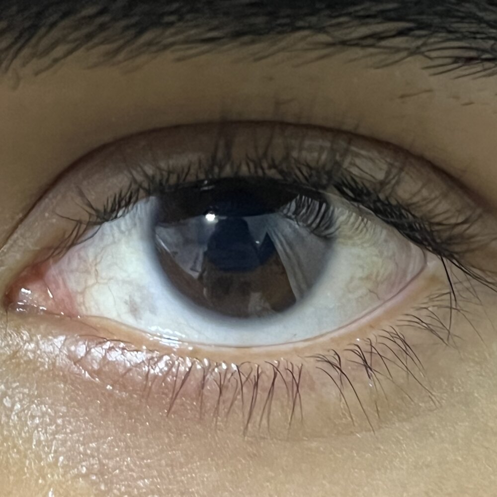 Sanx444 profile