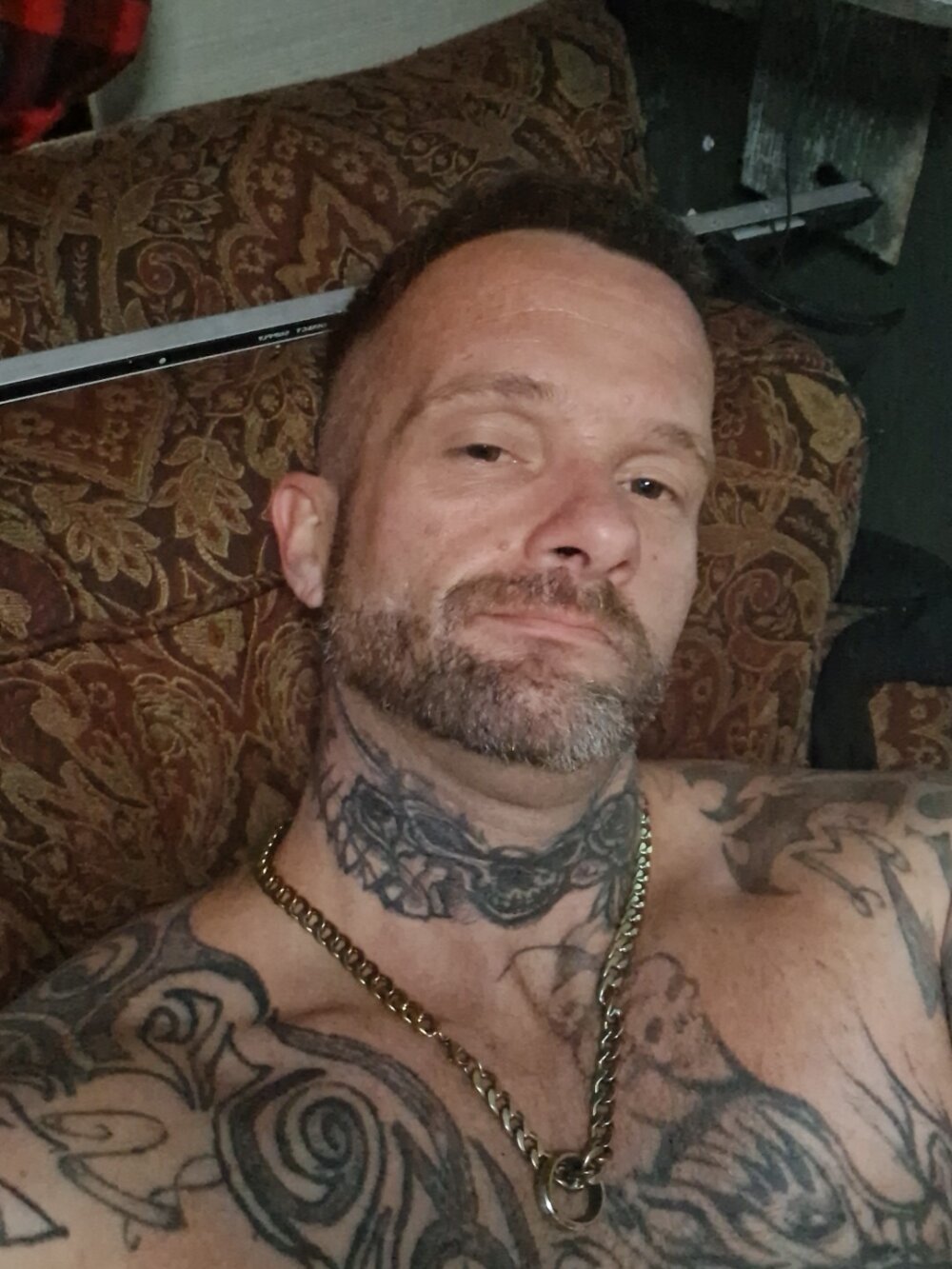 cum515088 from stripchat
