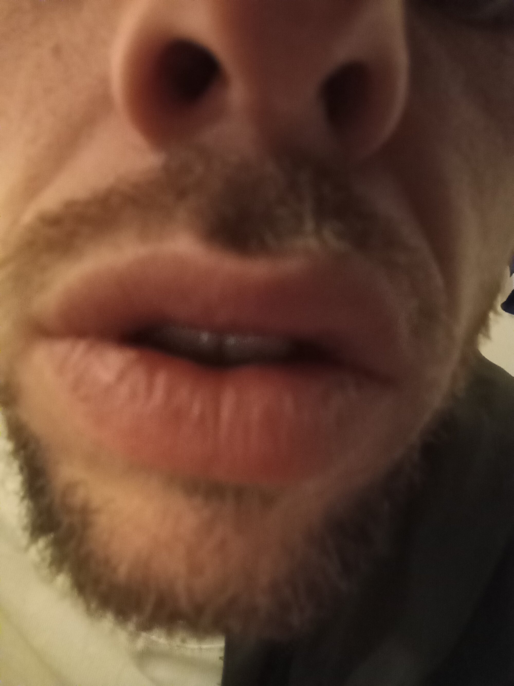 pocholoibz