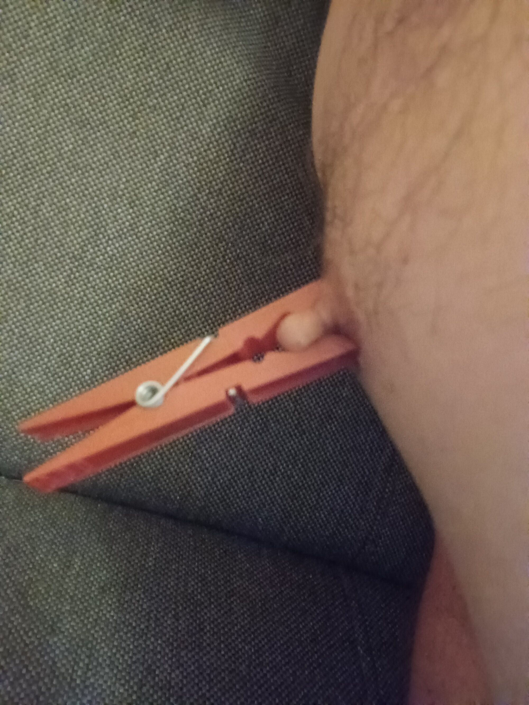 nippletortute