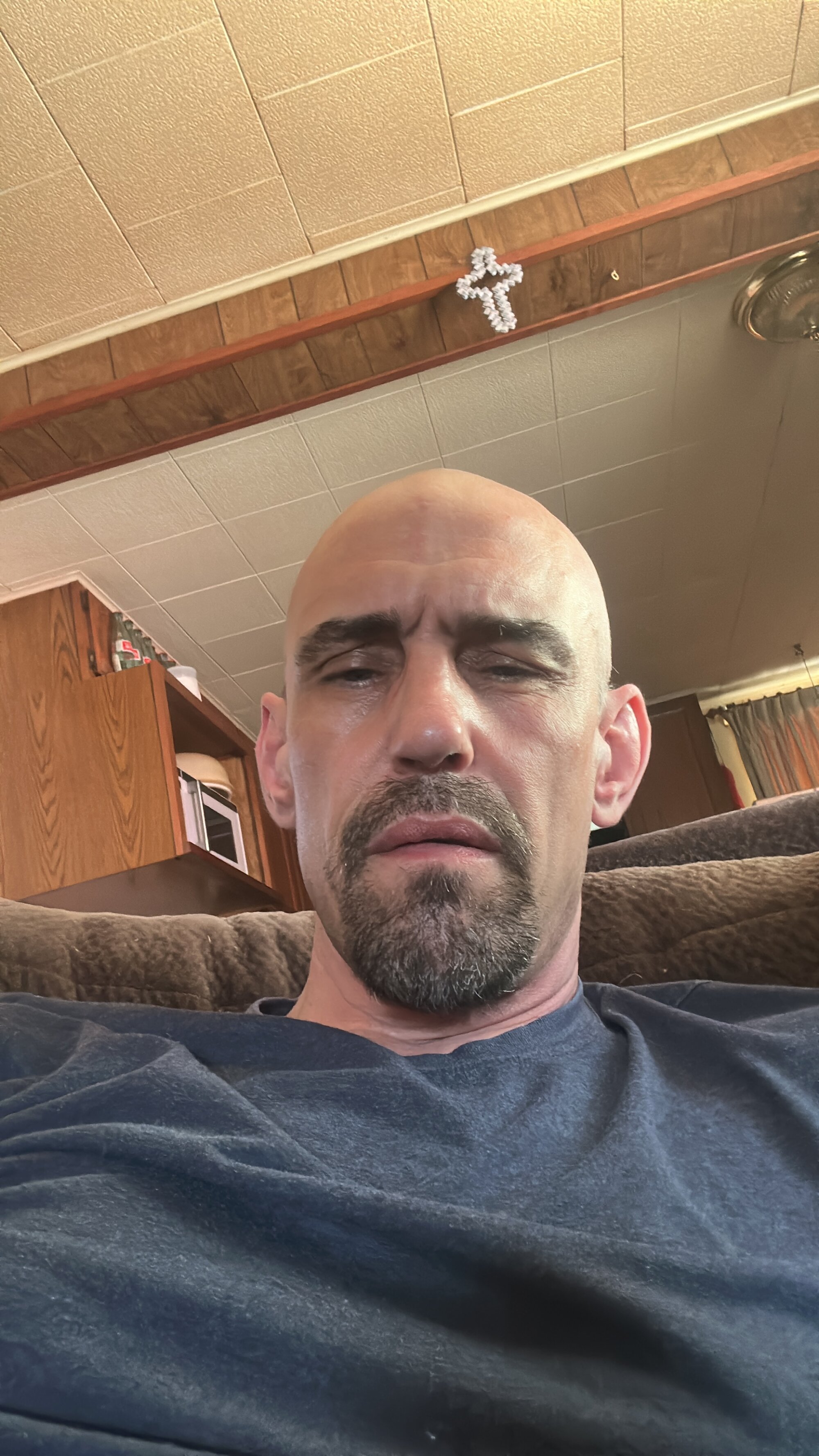 meat269