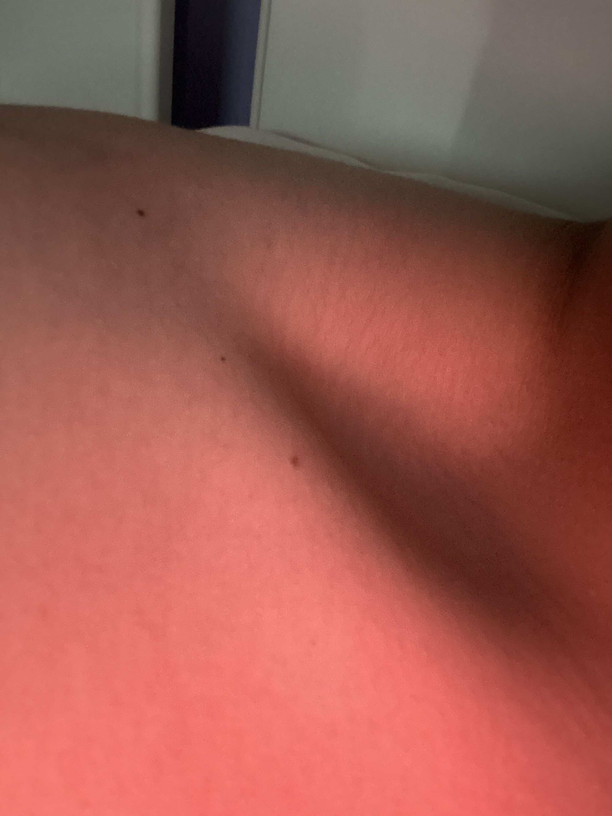 devonboy06