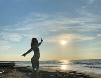 Модель Alisson-clare