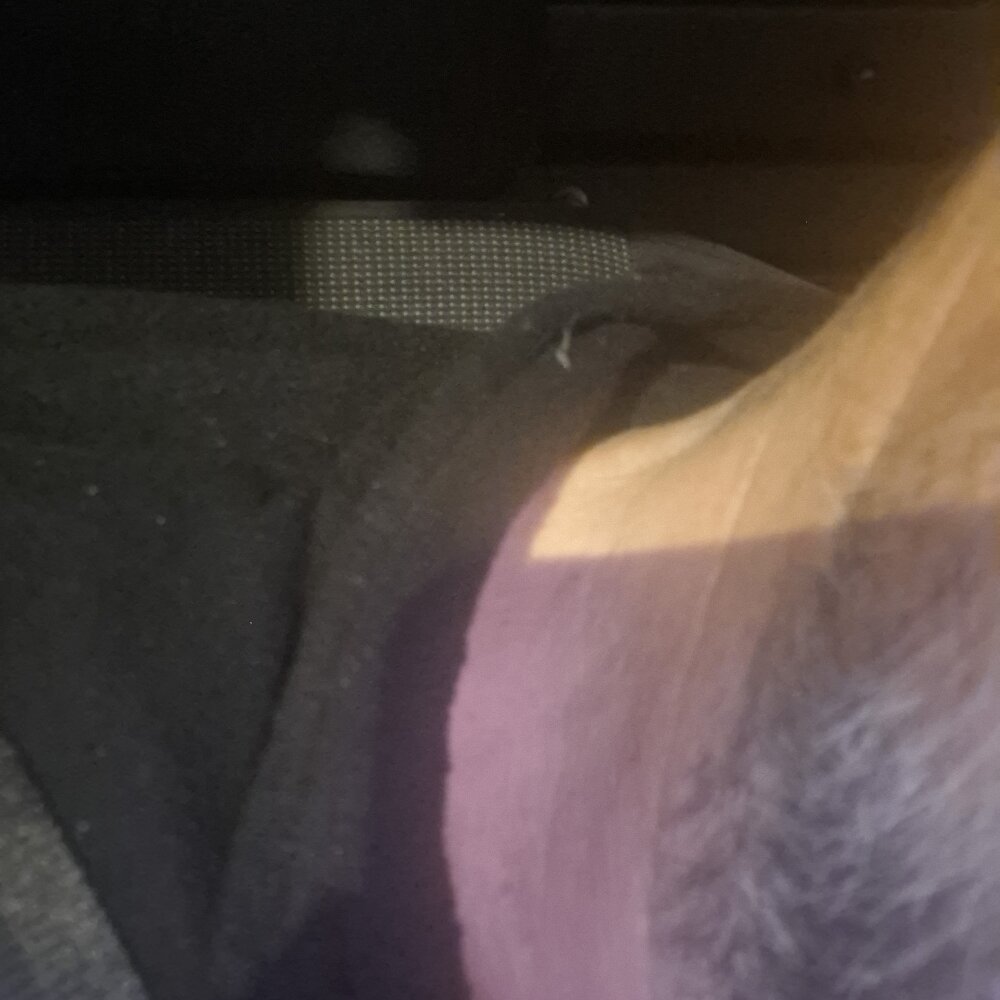 Rancia19's Offline XXX Chat