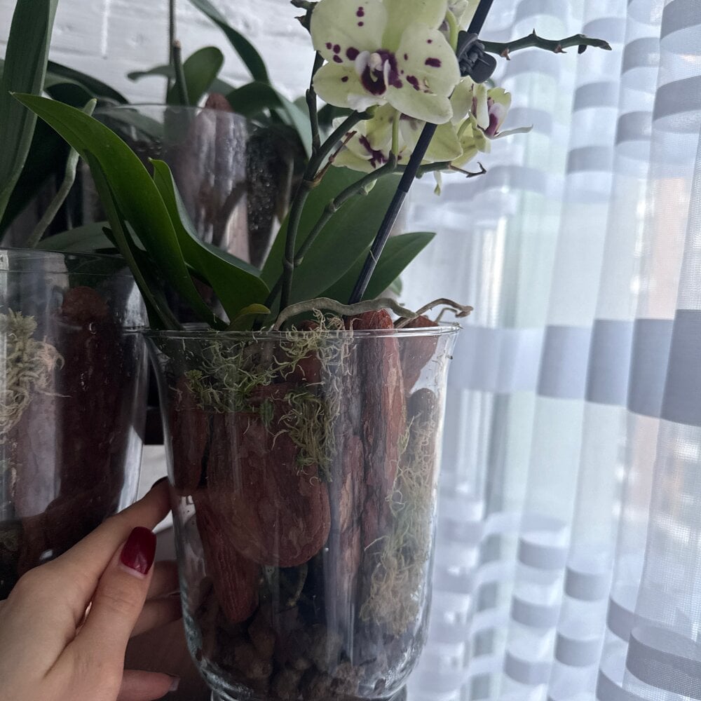 Anastasia69696977's Offline XXX Chat