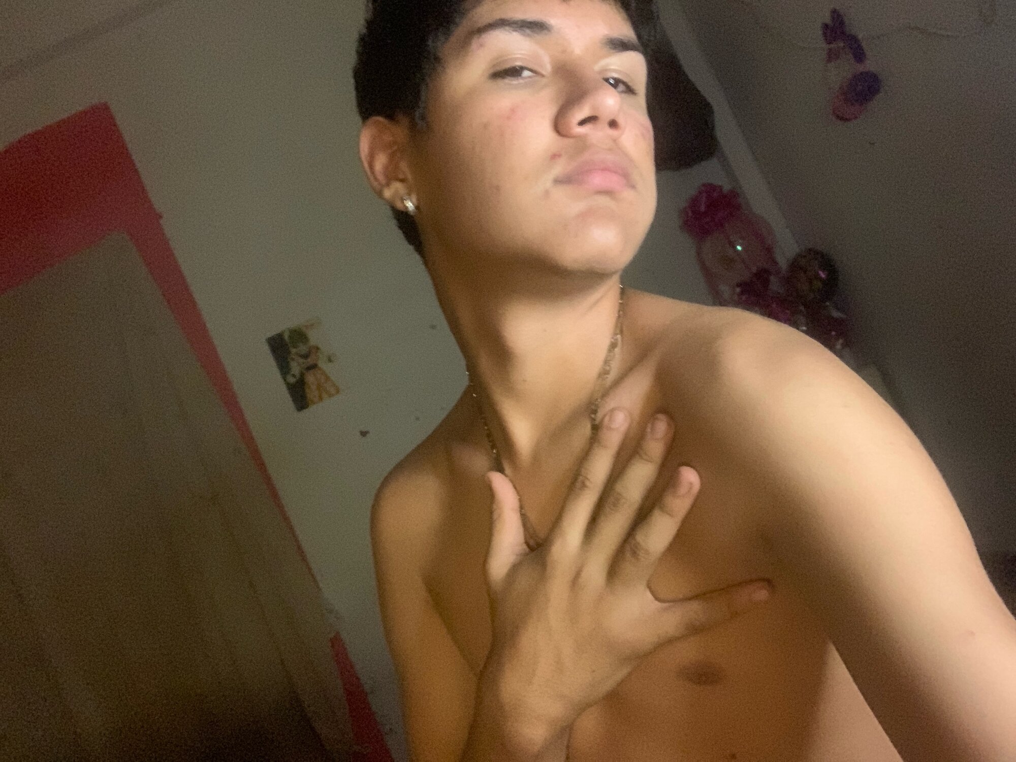 Sivelmipapi