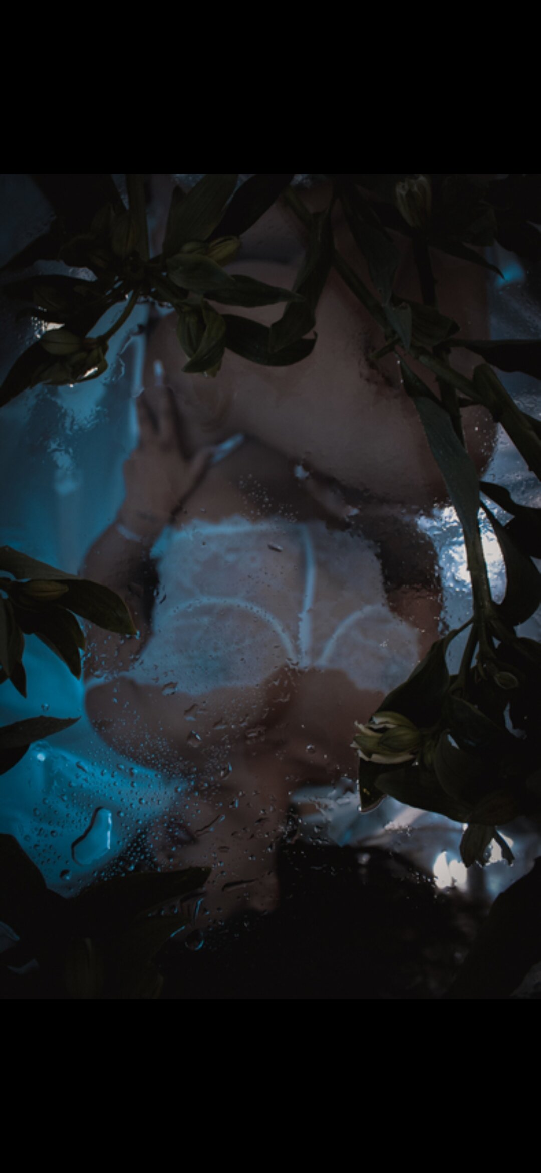 Tina_Carter