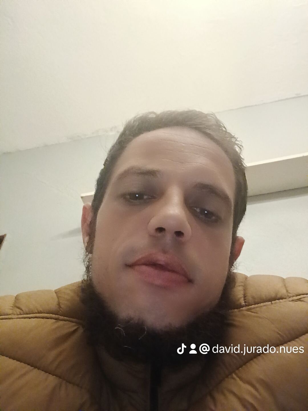 pollomja