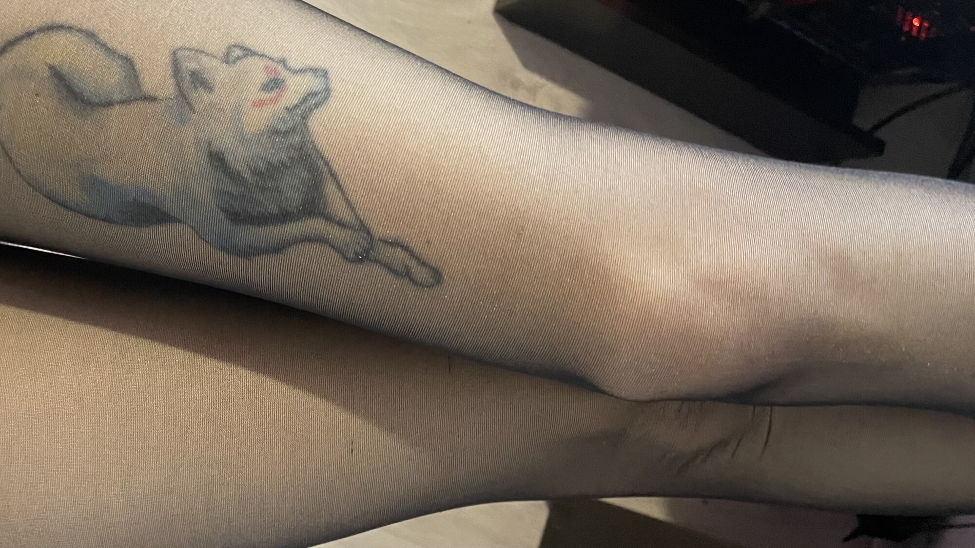 meowy_mila
