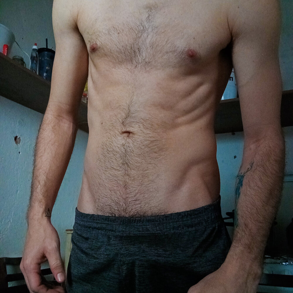 Morpheuspernambucano profile