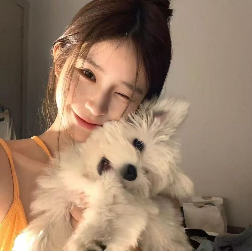 YIYI-7858 profile