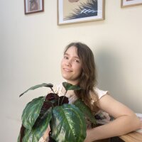 ErikaSing's Offline Chat Room