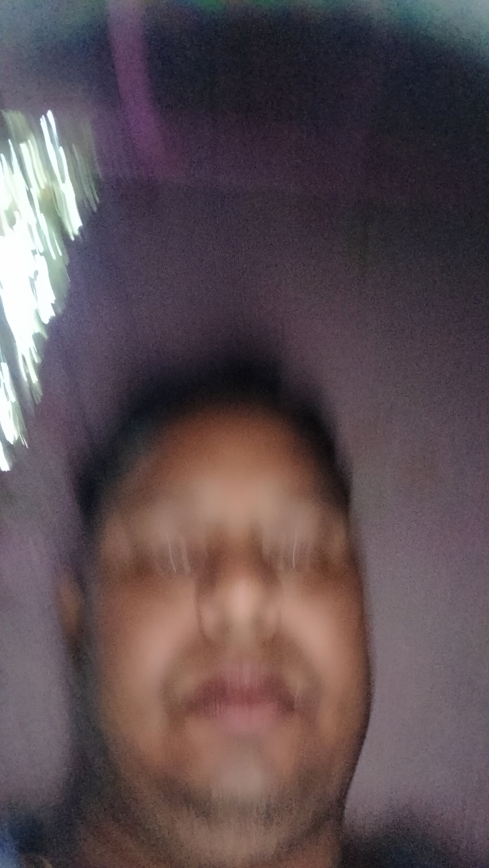 bigbull002
