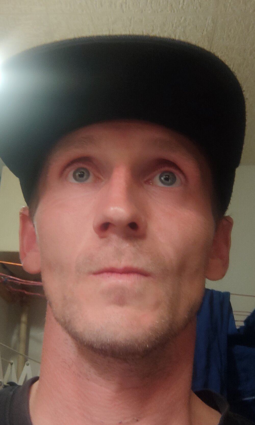 kala_ales