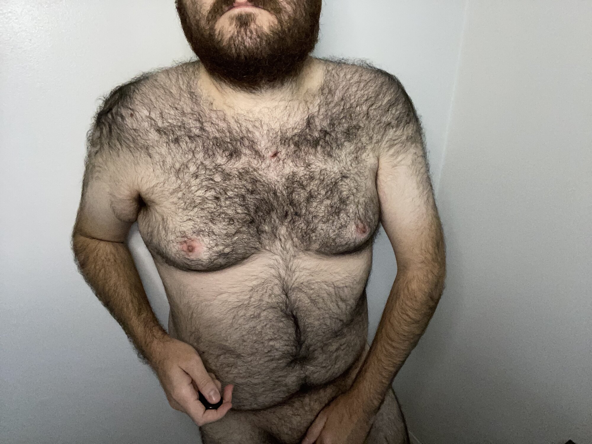 elagobear