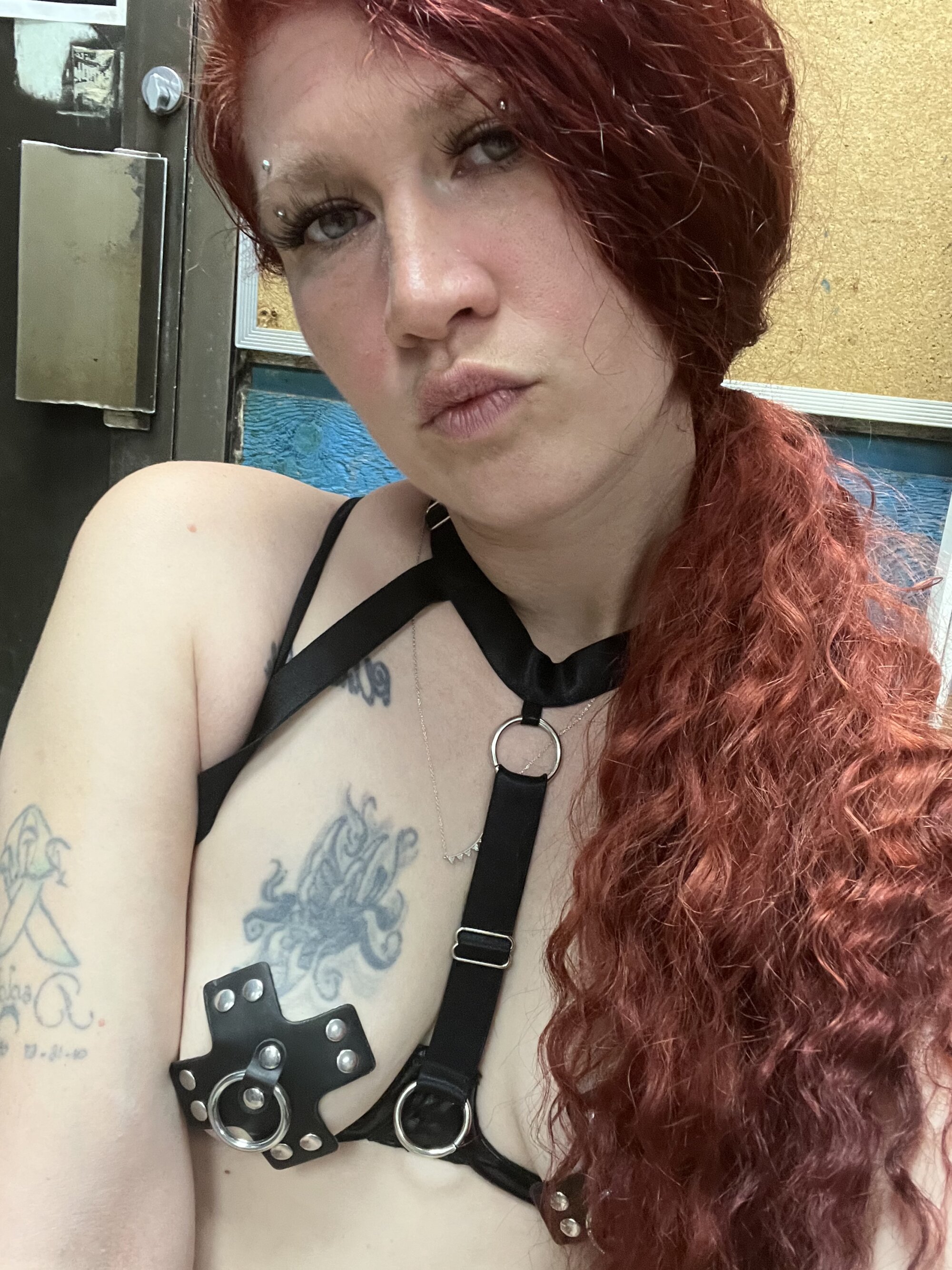 Arielred411