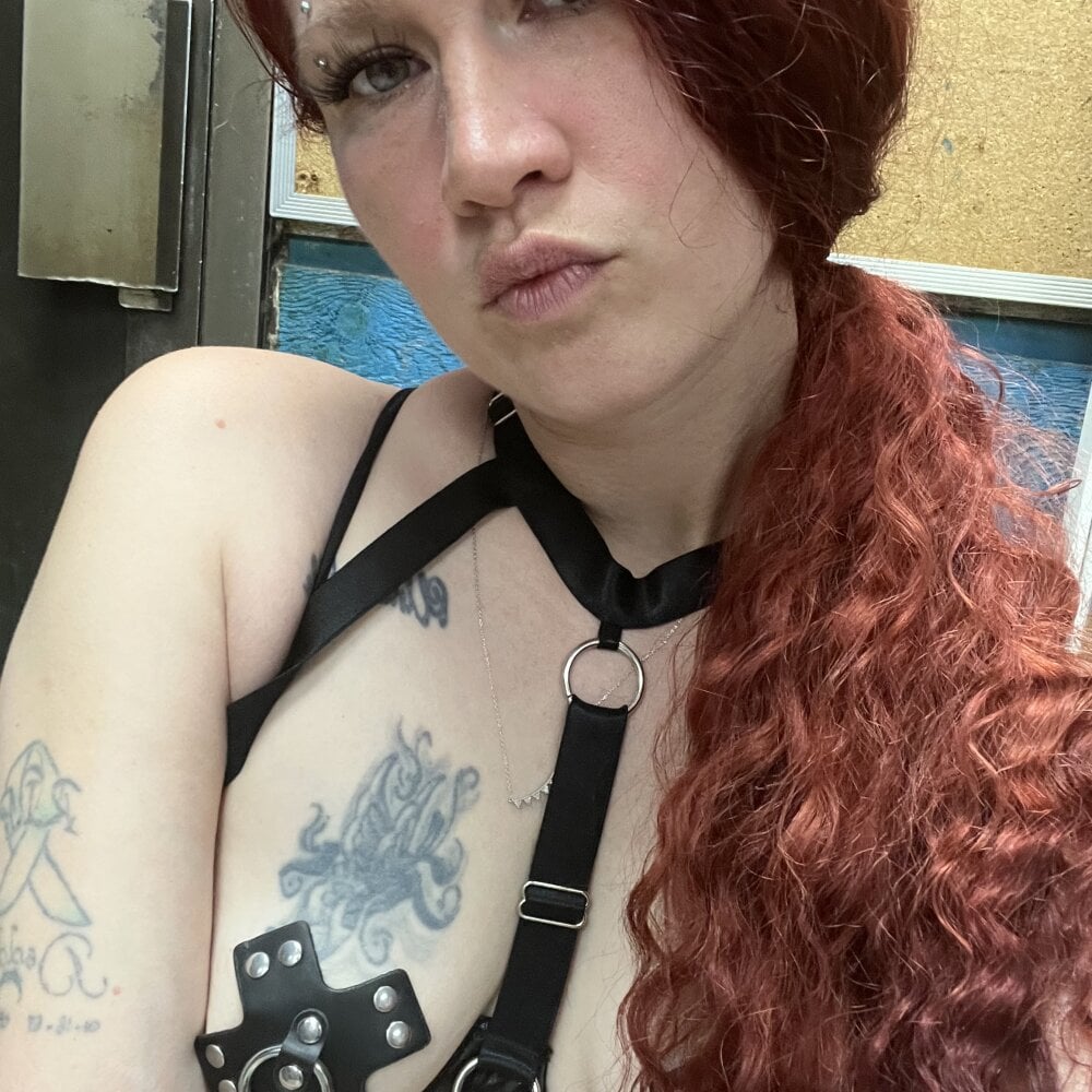 Arielred411 离线聊天室
