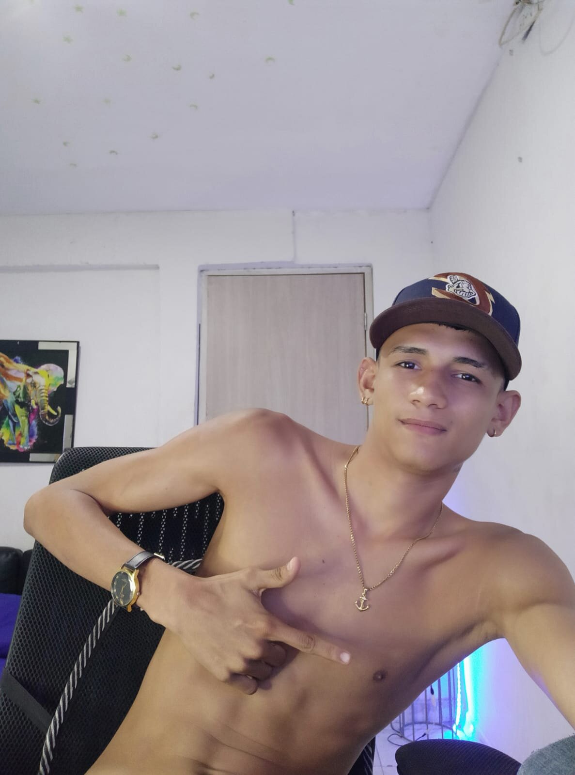 Soystuarthot