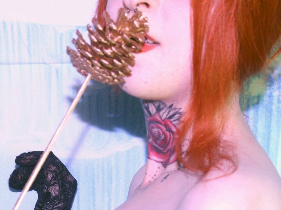 hiddenvixen from stripchat