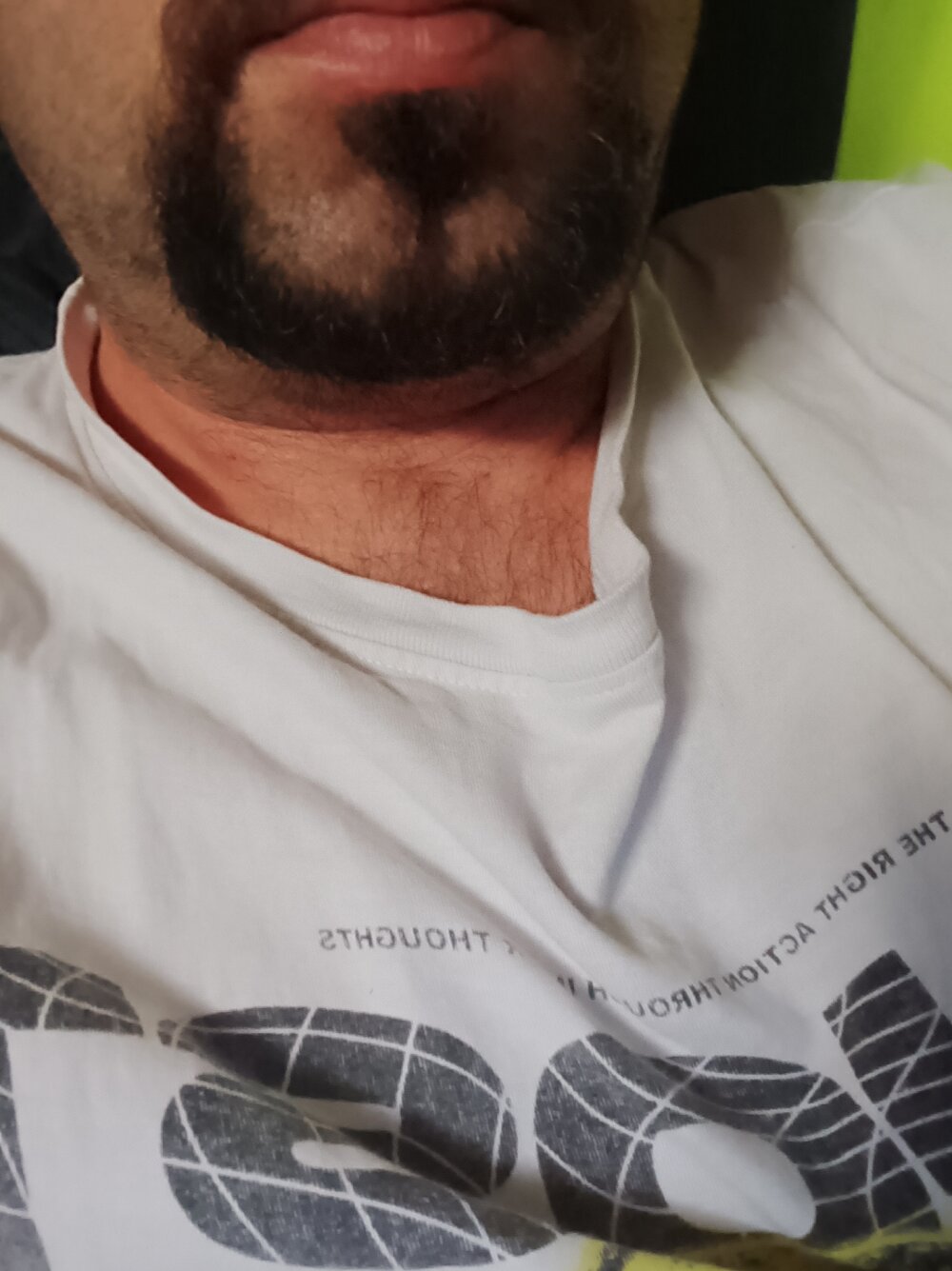 Chat con cámara offline de Lecheroachorros
