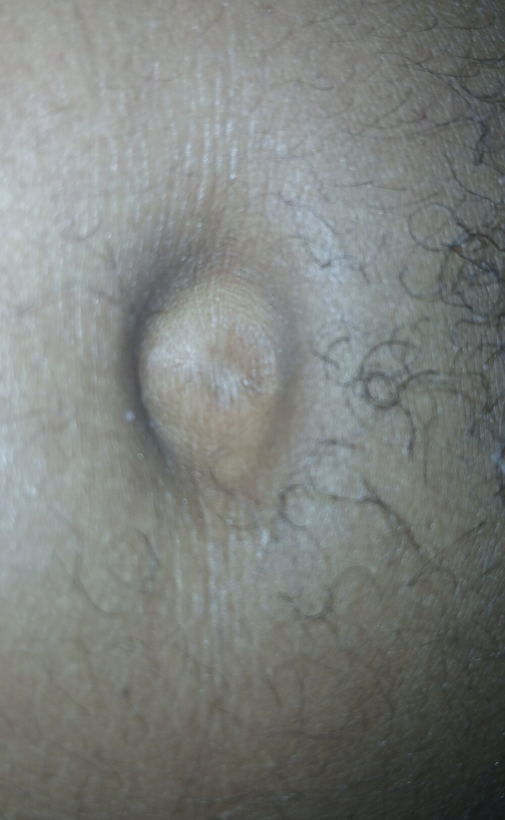 jhbswto from stripchat