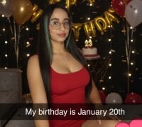 Модель issis22