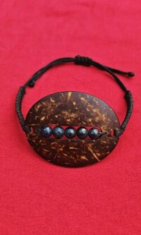 Модель twitshe