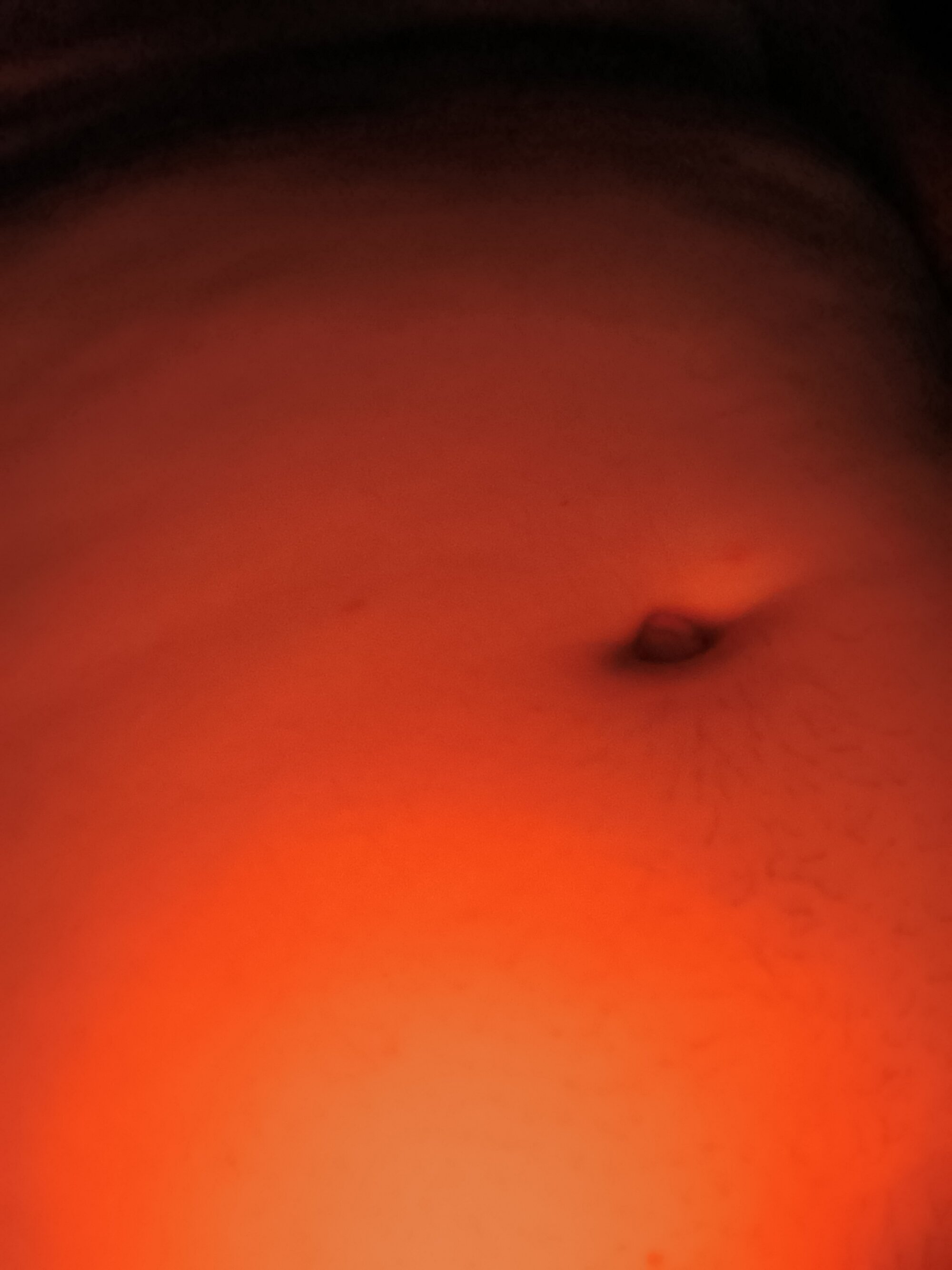 caliente8203