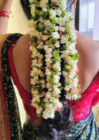 Telugu-Rowdy-pilla's webcam live show