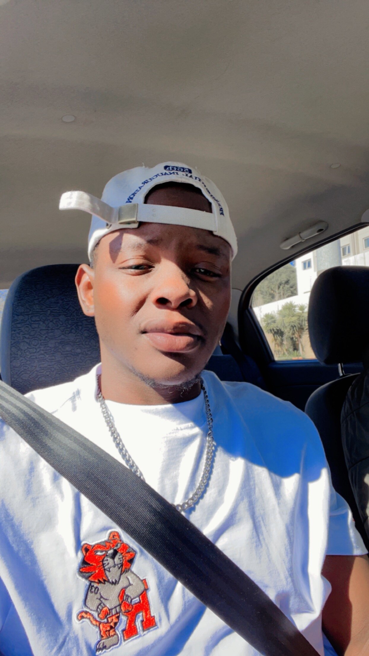 danzeltoss