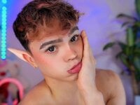 Model PRINCE_STEV