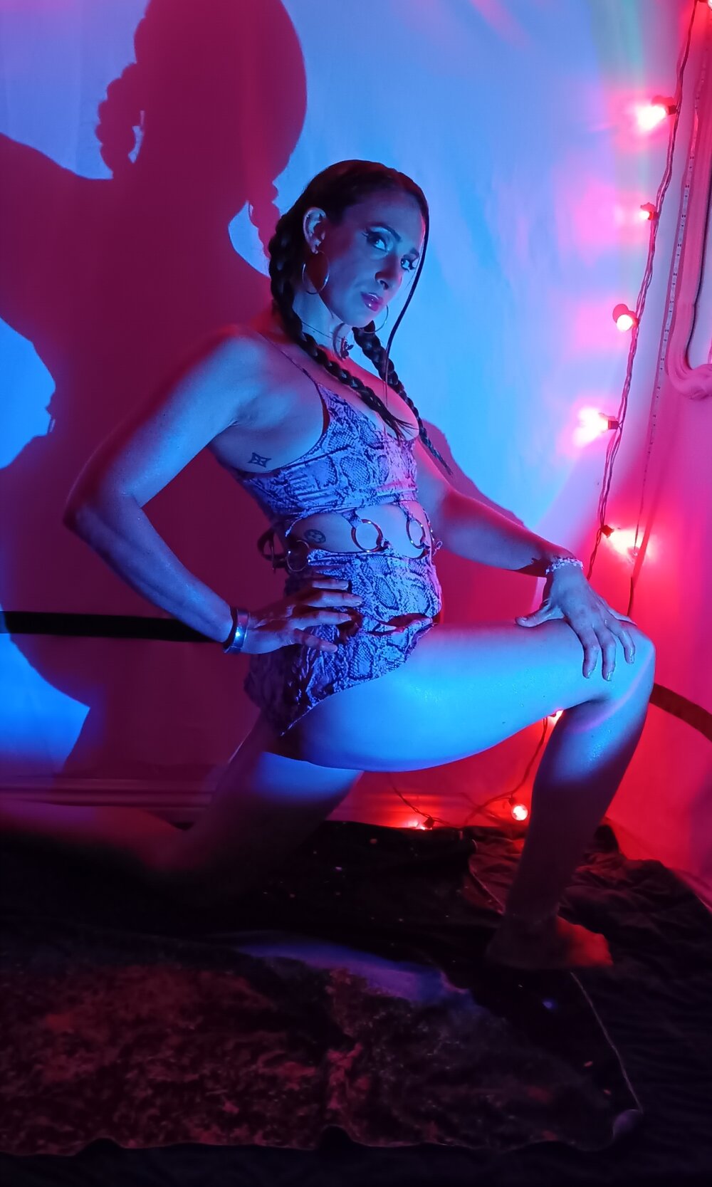 _x_frexi profile