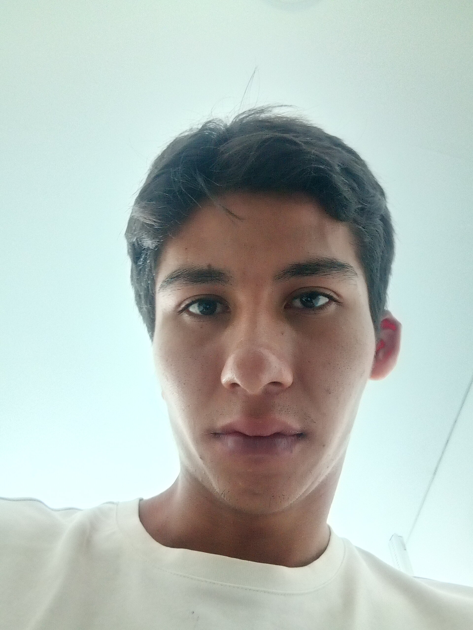 FlightedIce