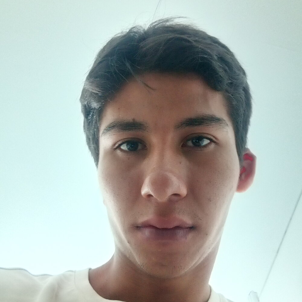 flightedice from stripchat