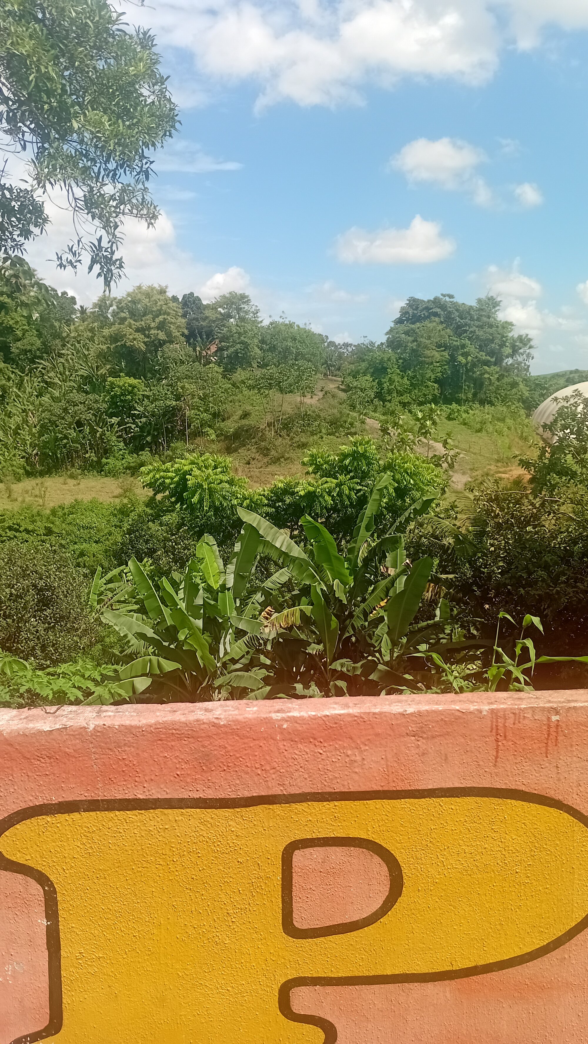 Samucakkkkkk live webcam