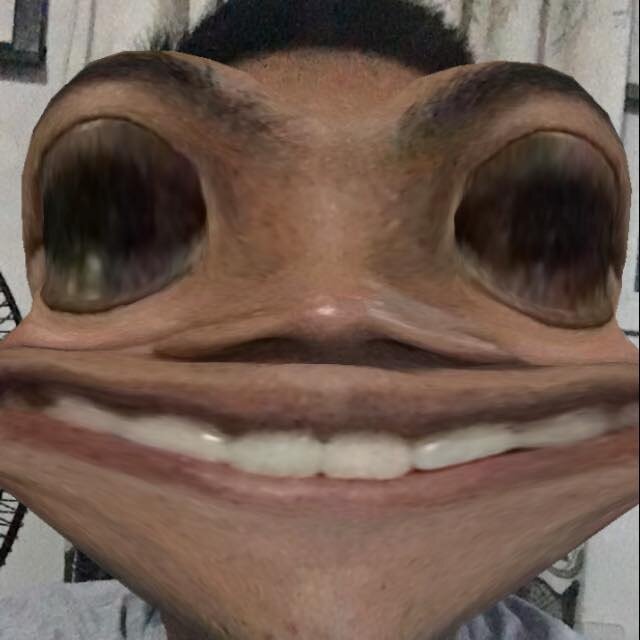 bluehydrangay