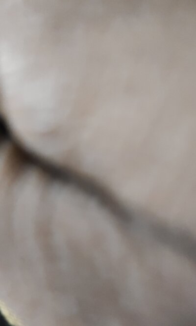 Indian_Dick_Pierced
